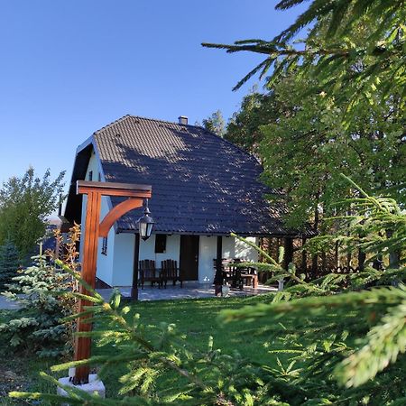 Vila Hajdi Planina Tara Bajina Basta Zewnętrze zdjęcie
