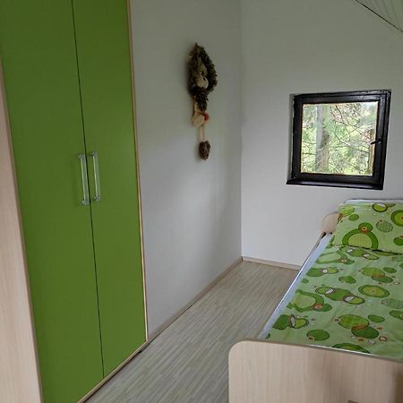 Vila Hajdi Planina Tara Bajina Basta Zewnętrze zdjęcie