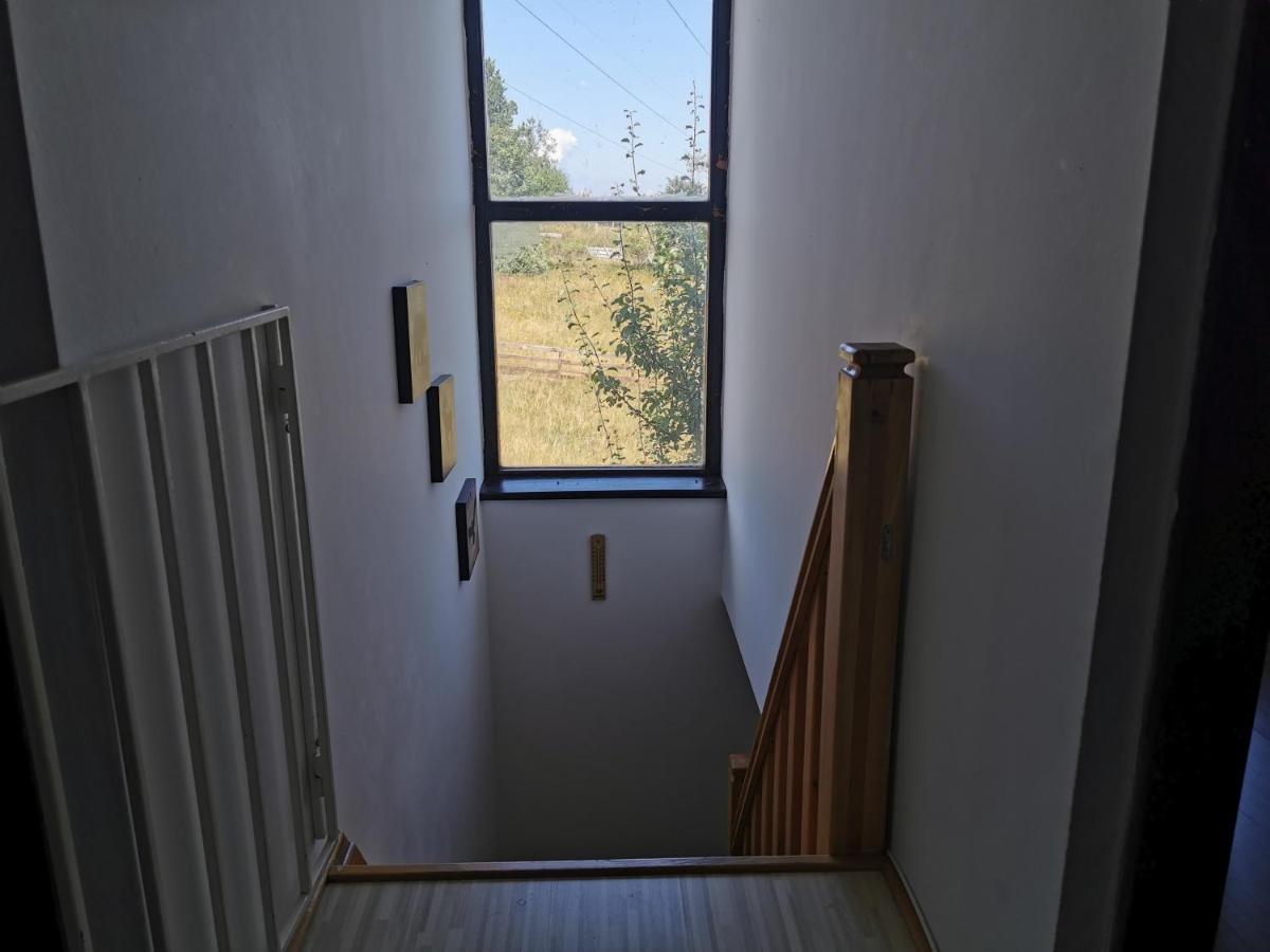 Vila Hajdi Planina Tara Bajina Basta Zewnętrze zdjęcie
