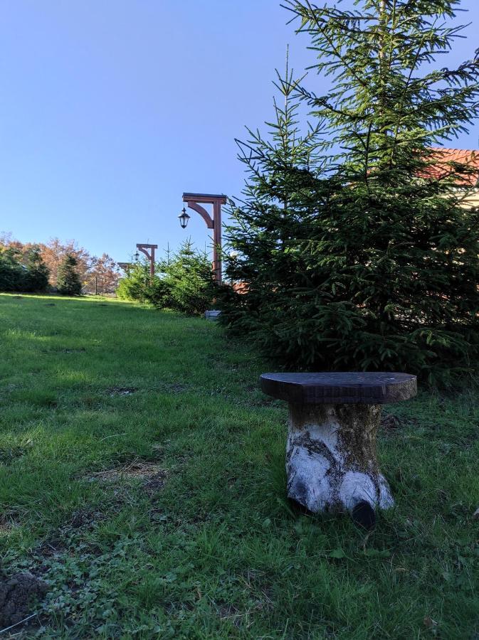 Vila Hajdi Planina Tara Bajina Basta Zewnętrze zdjęcie
