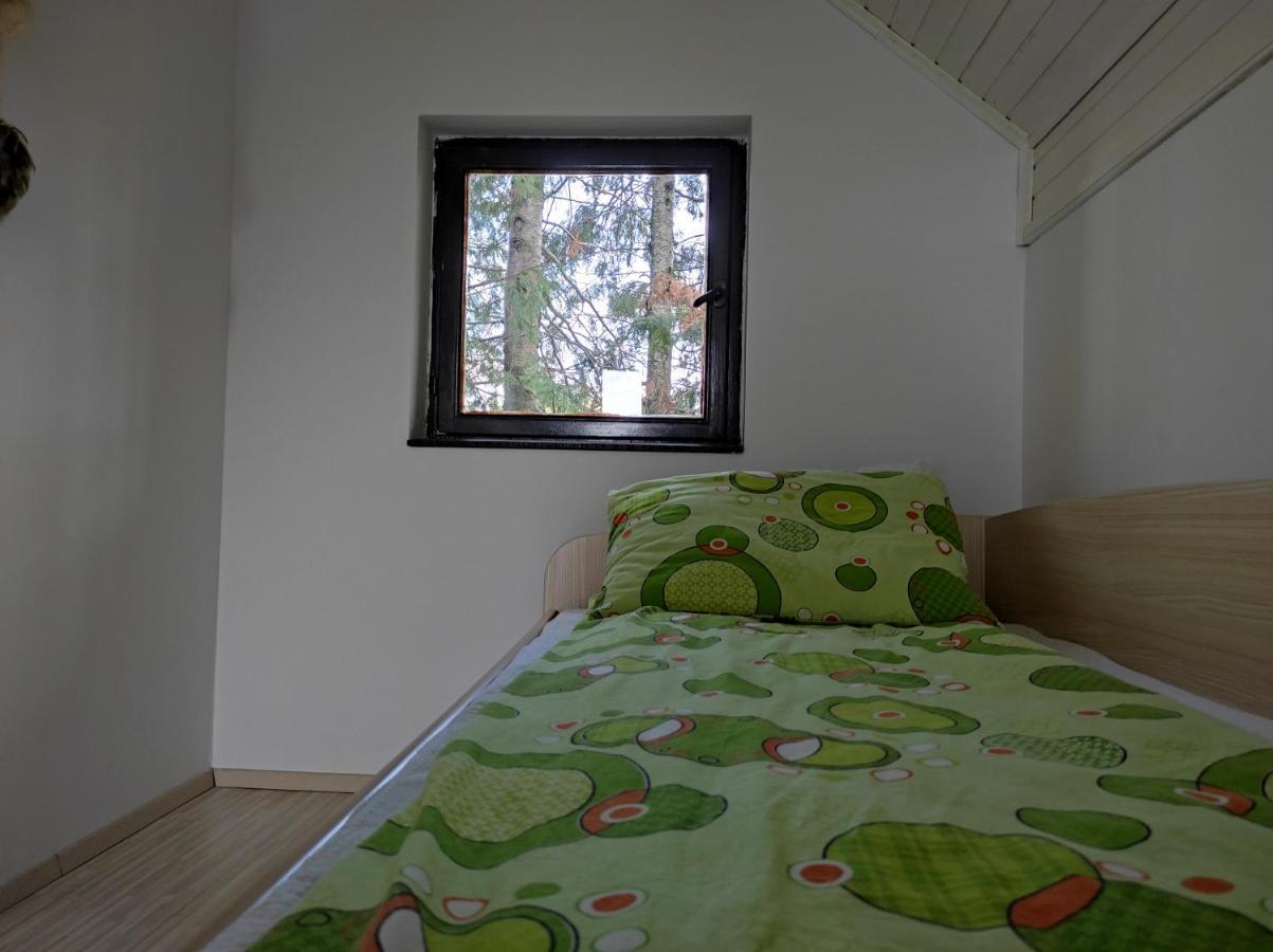 Vila Hajdi Planina Tara Bajina Basta Zewnętrze zdjęcie