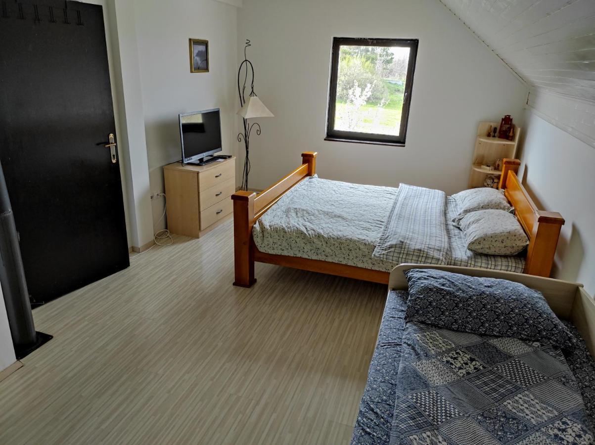 Vila Hajdi Planina Tara Bajina Basta Zewnętrze zdjęcie