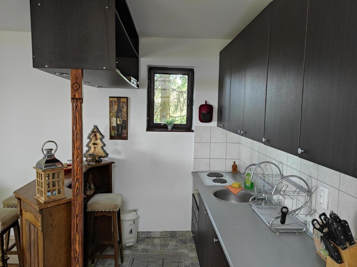 Vila Hajdi Planina Tara Bajina Basta Zewnętrze zdjęcie