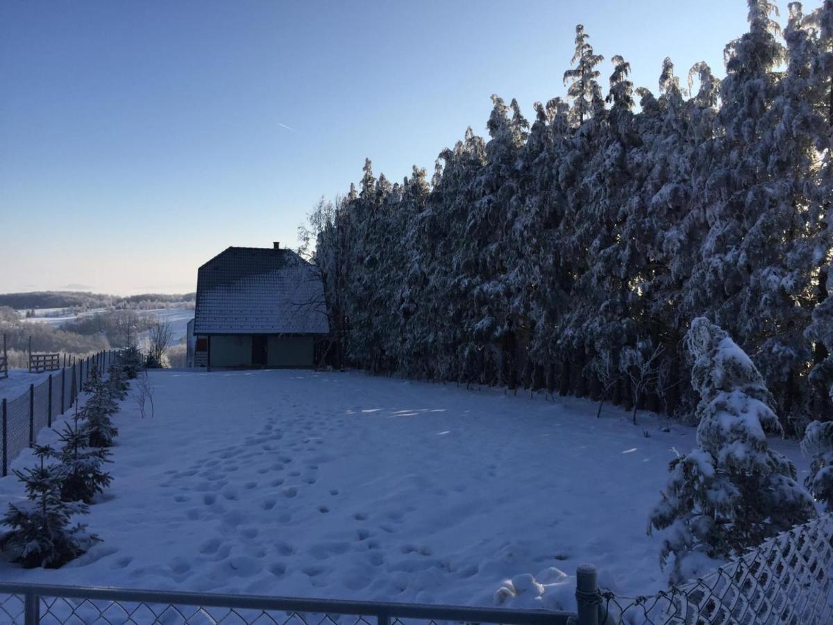 Vila Hajdi Planina Tara Bajina Basta Zewnętrze zdjęcie