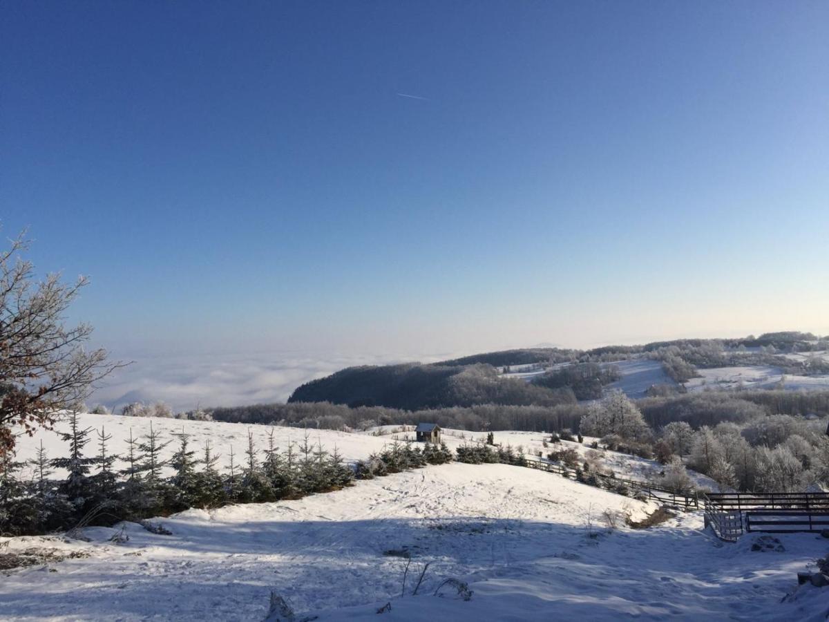 Vila Hajdi Planina Tara Bajina Basta Zewnętrze zdjęcie