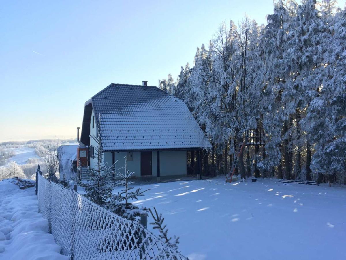 Vila Hajdi Planina Tara Bajina Basta Zewnętrze zdjęcie