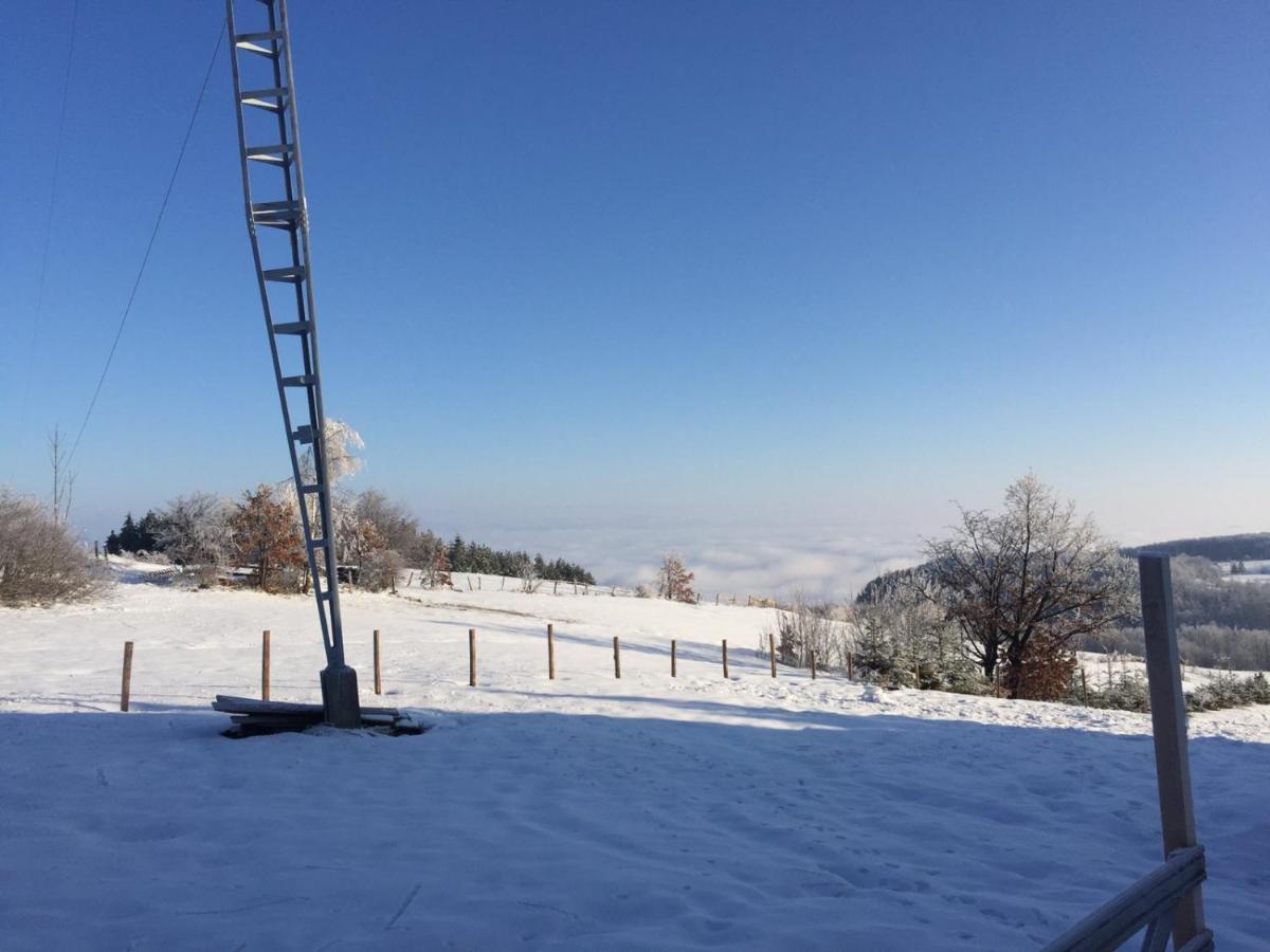 Vila Hajdi Planina Tara Bajina Basta Zewnętrze zdjęcie